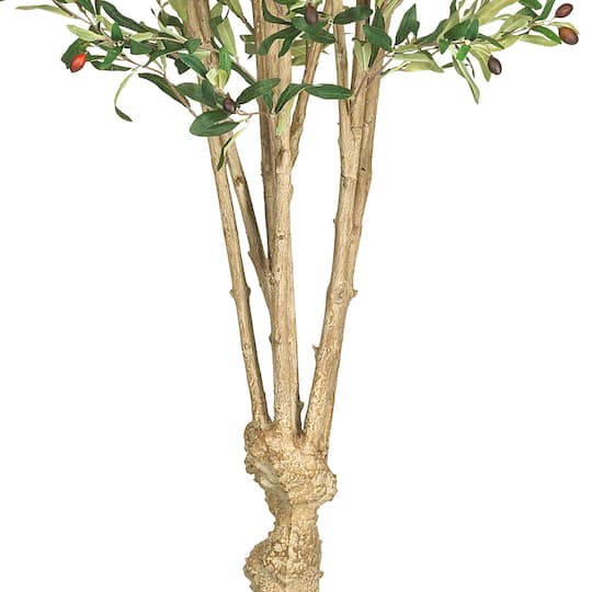 5ft. Potted Olive Tree